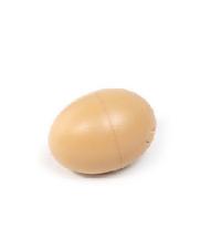 ˽ڴƷ